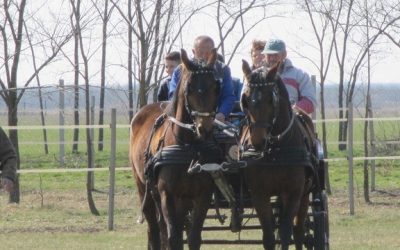 Játékos próbák a Piros tanyán 2015. 03. 21.
