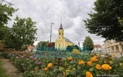 Az ifjú papság találkozója Tiszakécskén