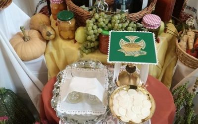 Terményáldást tartottunk Assisi Szent Ferenc emléknapján