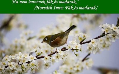 Ma van a Madarak és Fák Napja