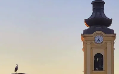 A tavaszi ébredés első hírnökei a Tisza jobb partján is a gólyák!