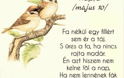 Május 10. – Madarak és fák napja