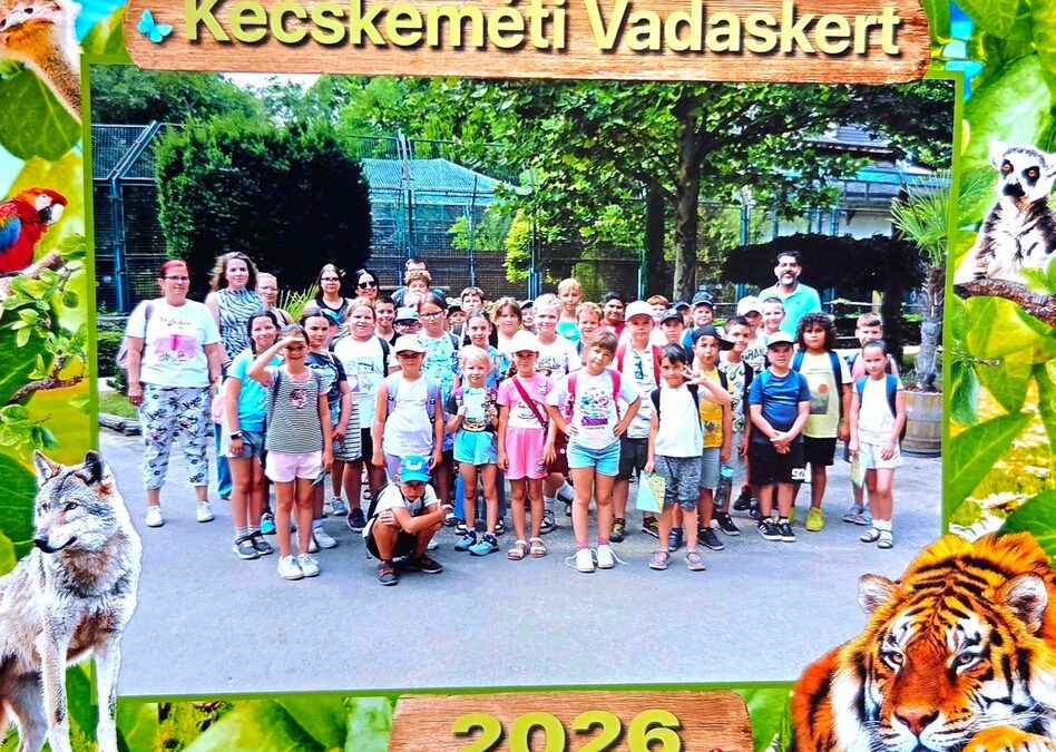 Plébániai Napközis Tábor 2026. – 4. nap